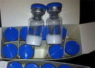 GMP Ham Anabolik Trenbolone Asetat Steroid Tozu, 434-03-7 Kas Büyümesi için Peptidler