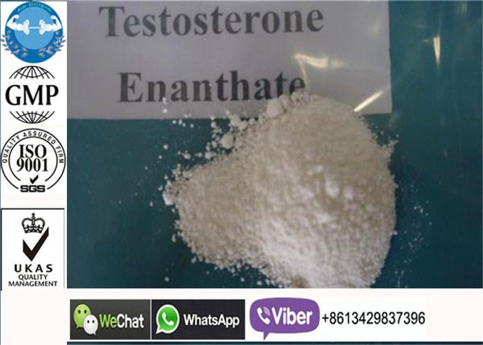 Güçlü Test E / Testosteron Enanthate Steroid Toz Vücut Geliştirme Takviyeleri İçin